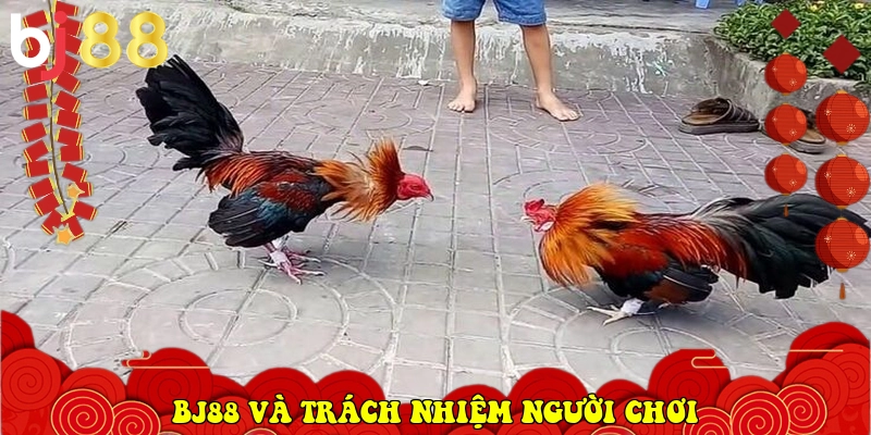 BJ88 ⭐️ Link Trang Chủ Chính Thức BJ88.COM Uy Tín 2026 38 BJ88 và trách nhiệm người chơi