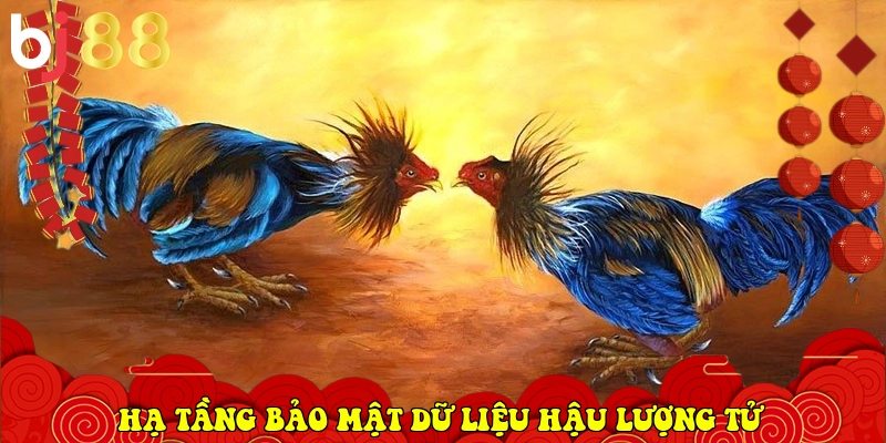 BJ88 ⭐️ Link Trang Chủ Chính Thức BJ88.COM Uy Tín 2026 31 hạ tầng bảo mật dữ liệu hậu lượng tử